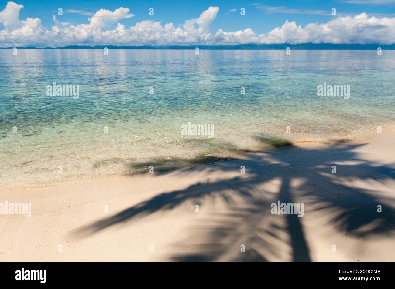 Shadow of a coconut tree on sand beach in front the ocean Stock Photo