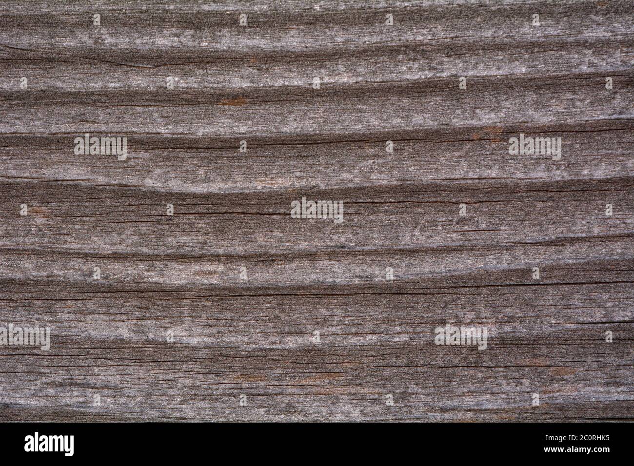 Nice old wood texture Stock Photo
