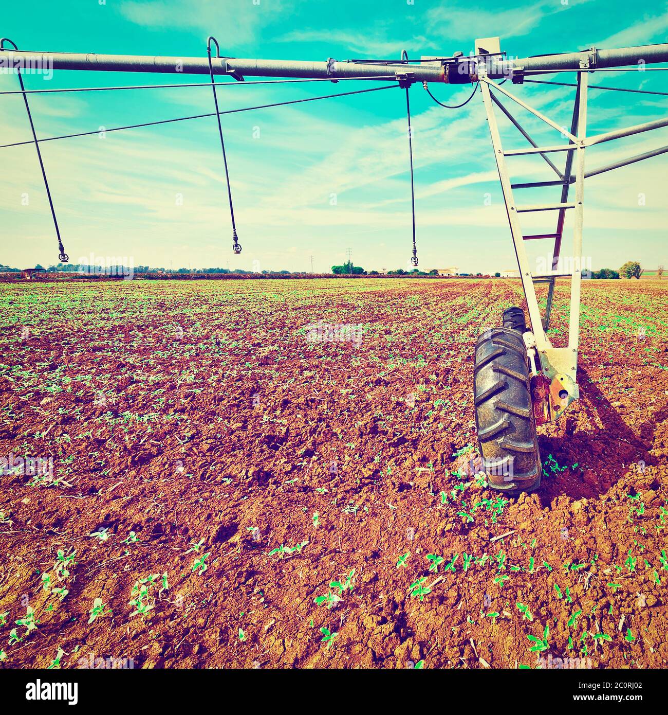 Kid In A Sprinkler Hi Res Stock Photography And Images Alamy