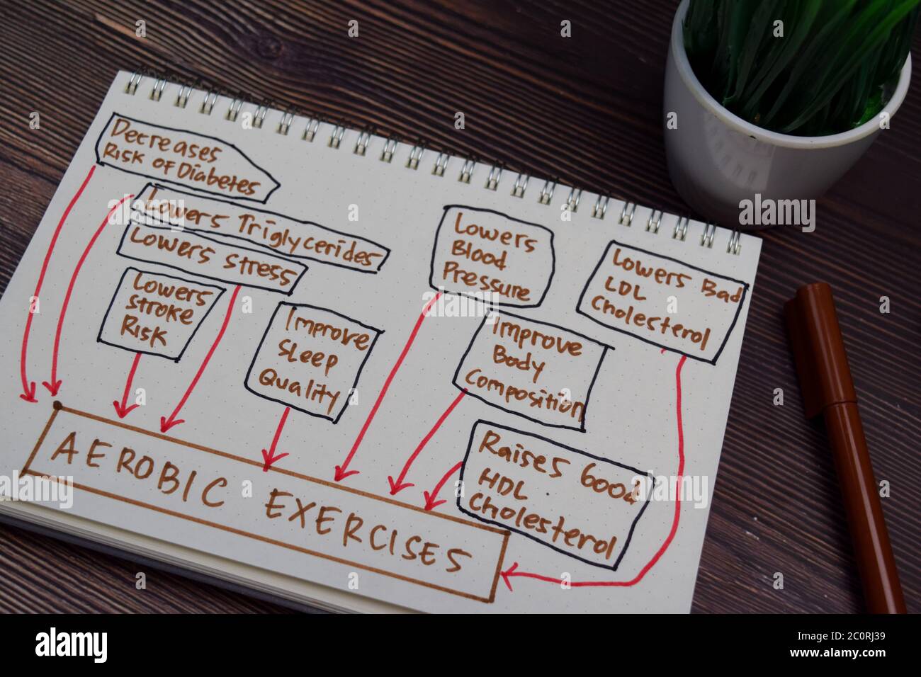 Table aerobic exercise plan new arrivals