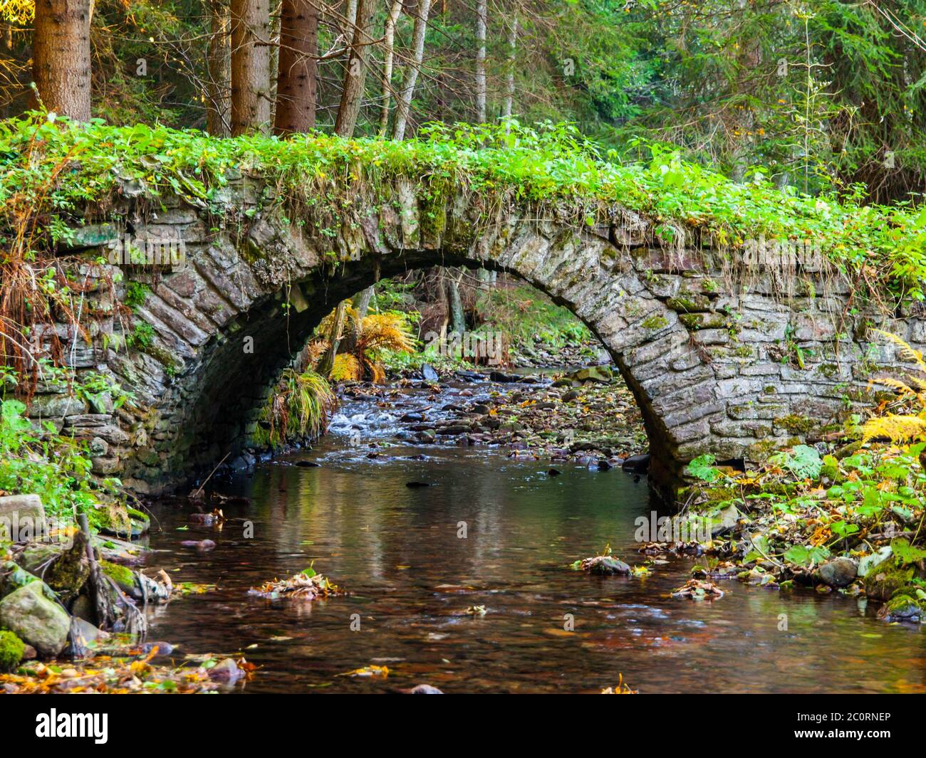 Picturesque old stone bridge over calm brook in an autumn forest Stock Photo