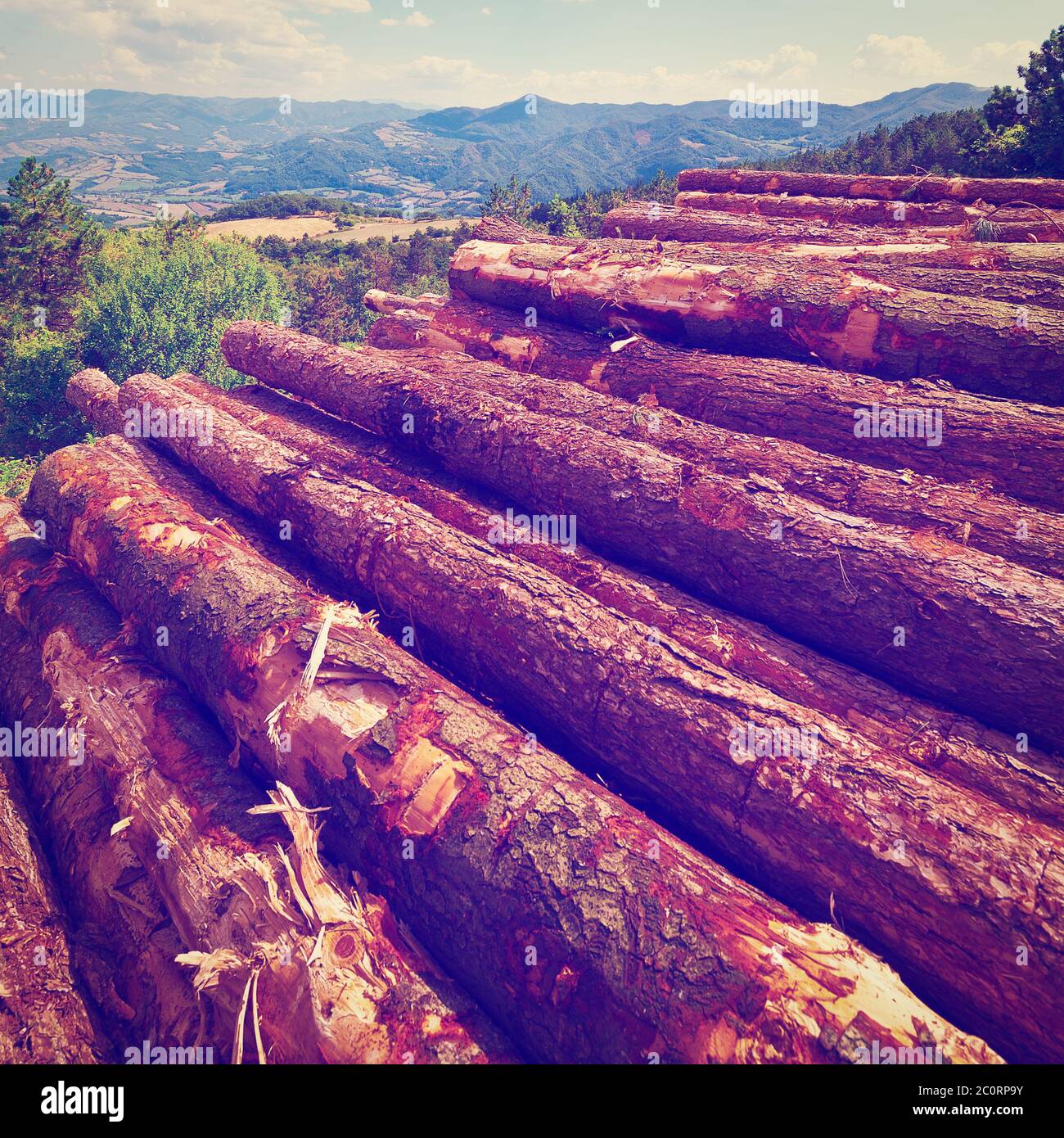 Firewood square hires stock photography and images Alamy