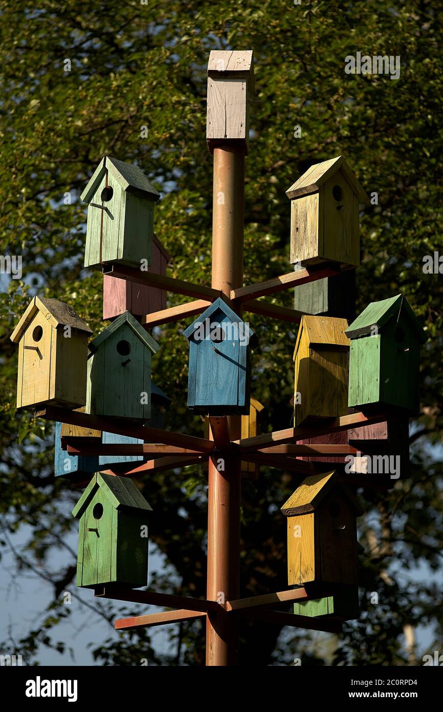 A lot of colorful birdhouses on a metal pole against the backdrop of the  park. The concept of urbanization and overpopulation. Bright multi-colored  wo Stock Photo - Alamy