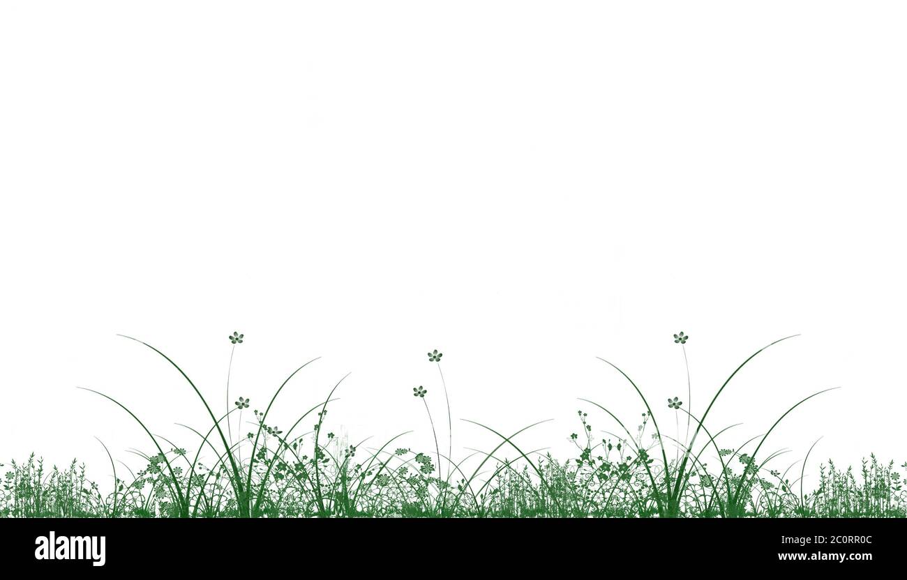 Green grass isolated on white - vector Stock Photo - Alamy