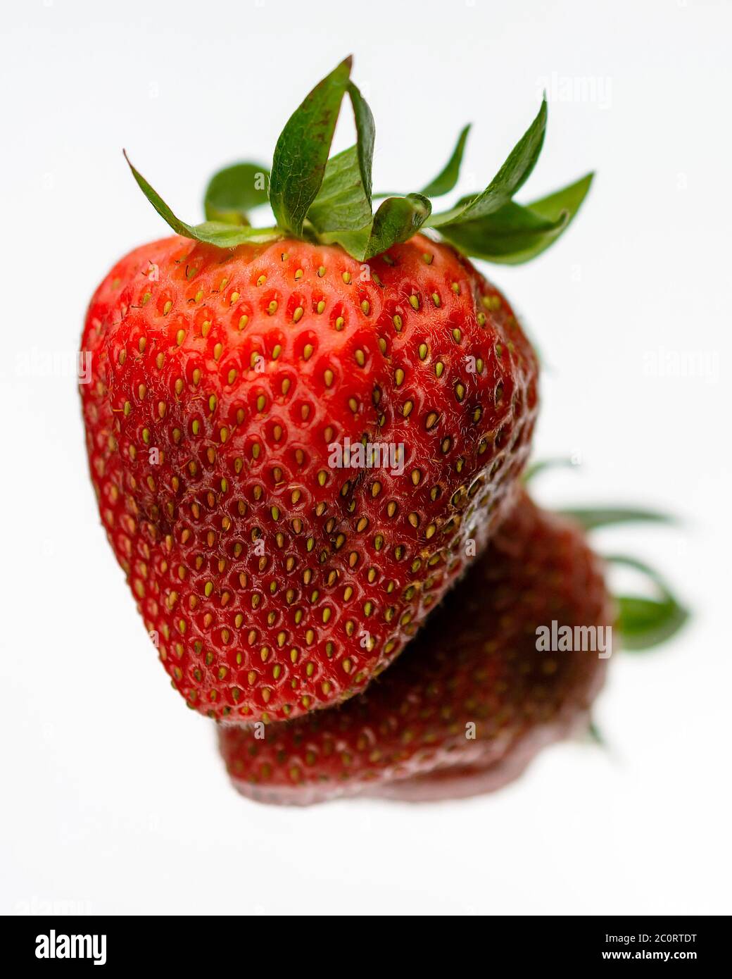 A single red strawberry with reflection on a mirror.  White background. Stock Photo