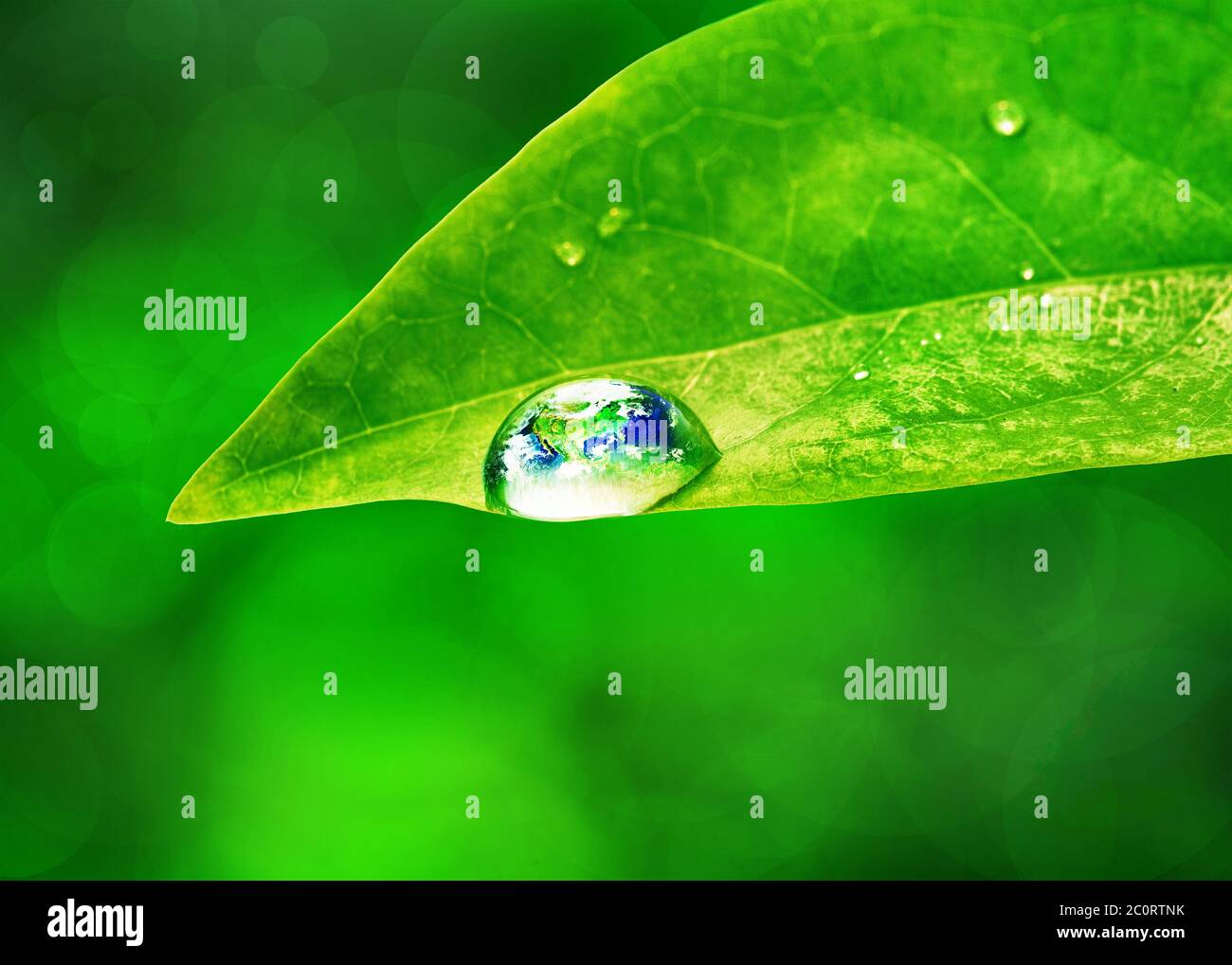 Earth in water drop reflection on green leaf, Environmental concept, Elements of this image furnished by NASA Stock Photo
