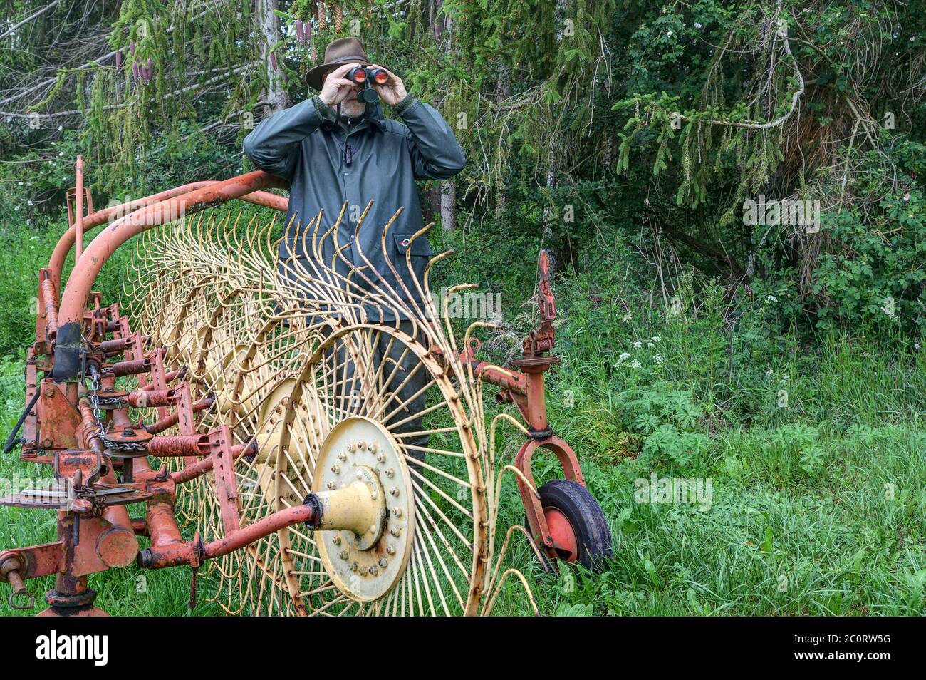 A hunter is hiding at an old star wheel rake of a farmer and is ...
