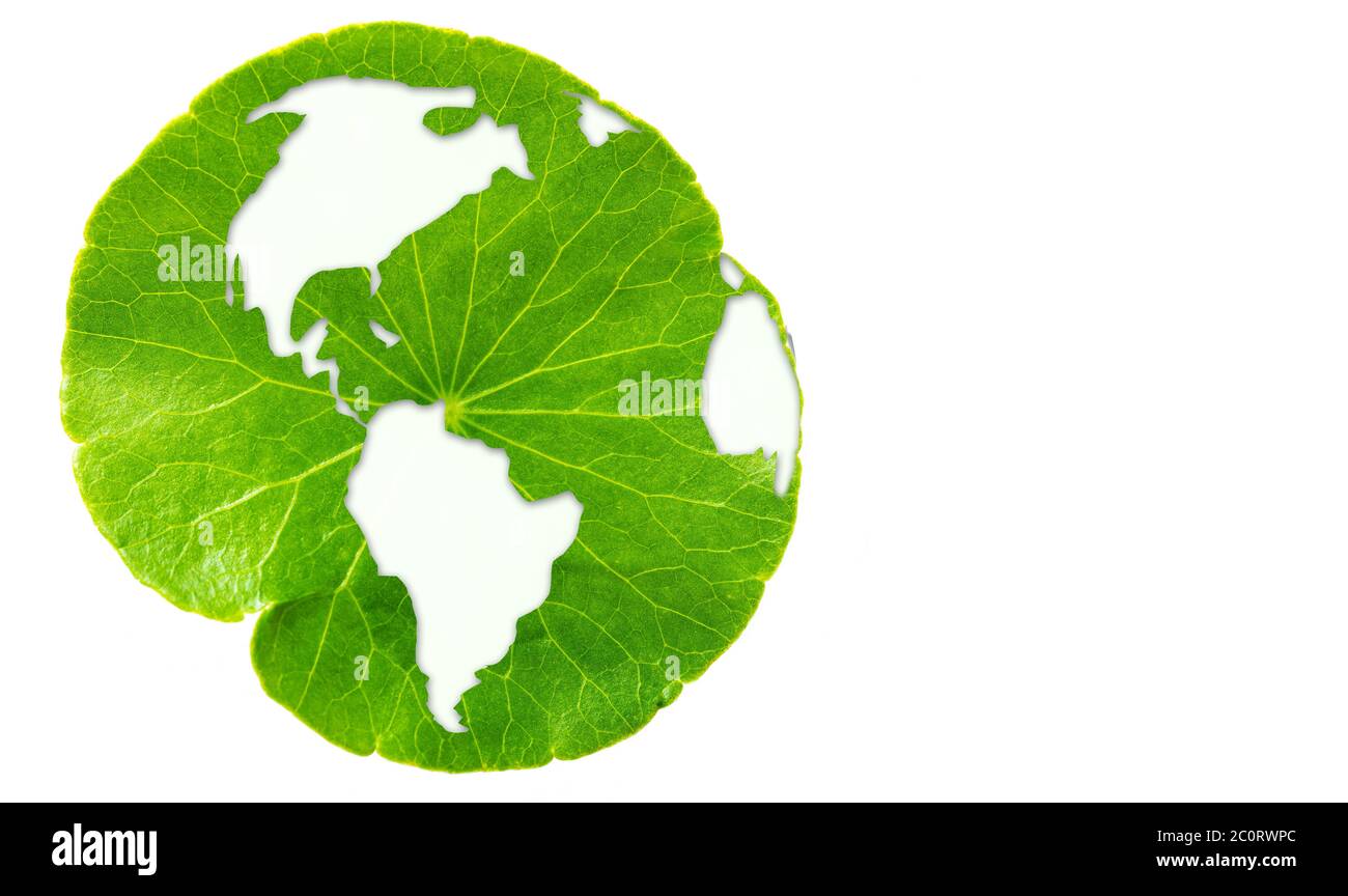 white world map western side on circle green leave and white background, ecology concept Stock Photo