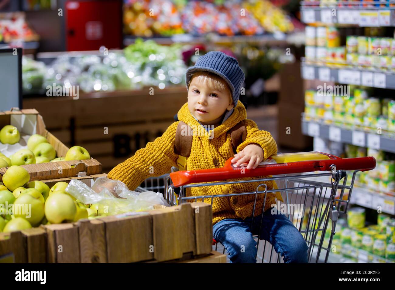 grocery shopping backpack
