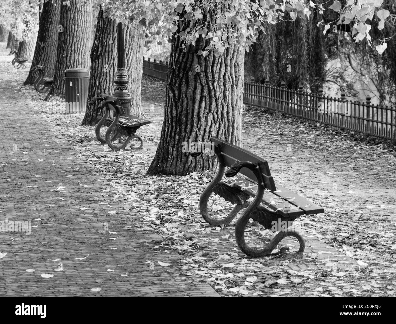 Beautiful ornamental green benches in autumn park. Black and white image. Stock Photo