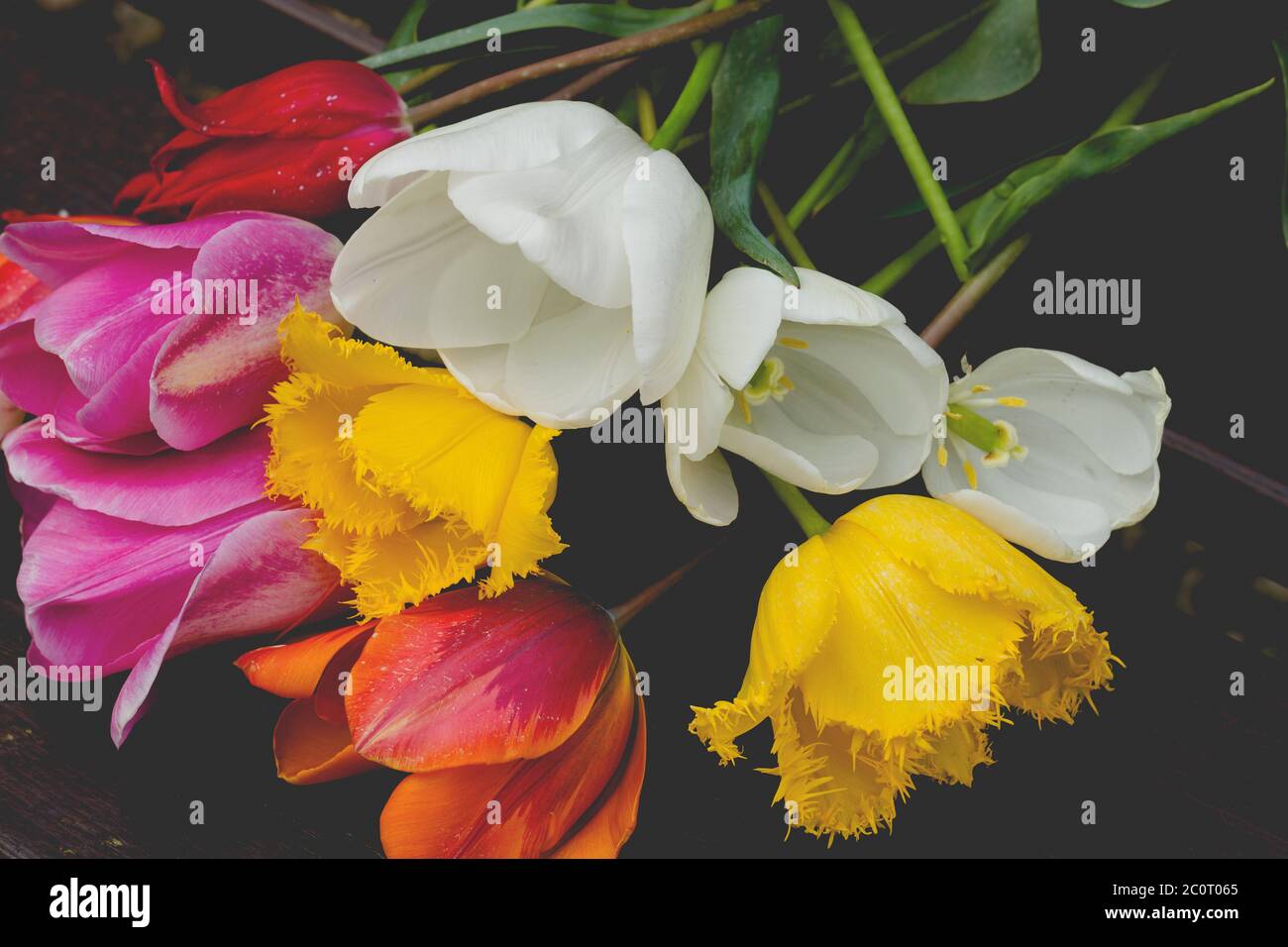Tulip natural flowers colorful bouquet Stock Photo - Alamy
