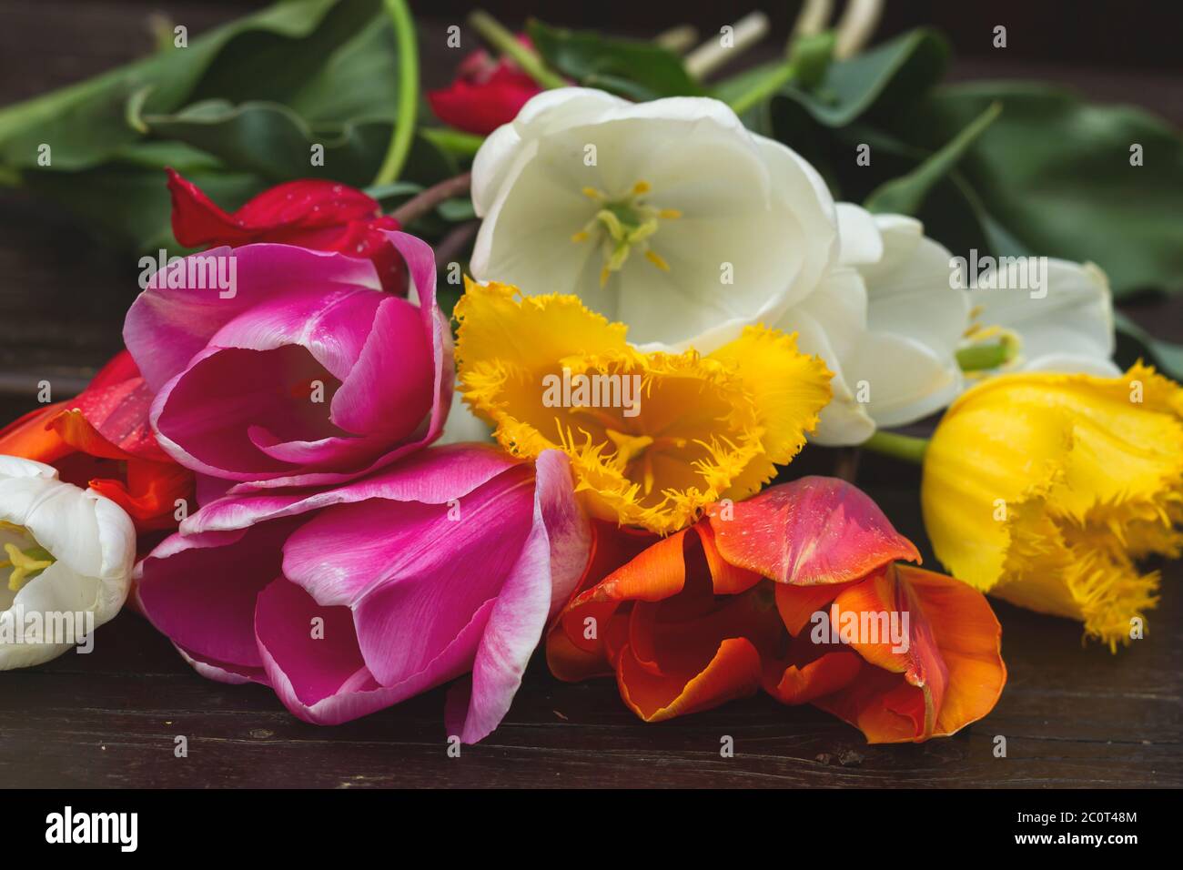 Tulip natural flowers colorful bouquet Stock Photo - Alamy