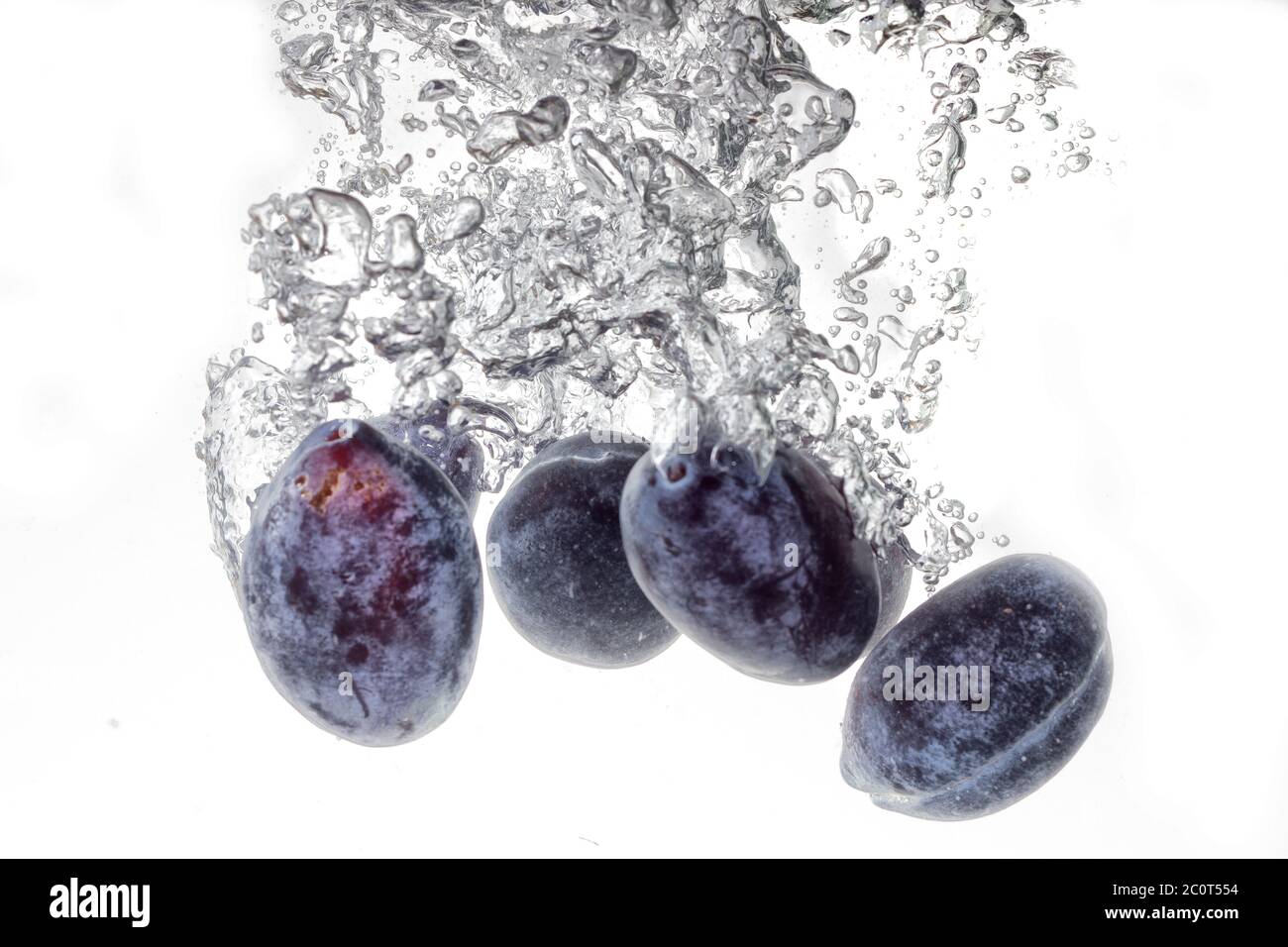 Plums falling into water, isolated on a white background Stock Photo