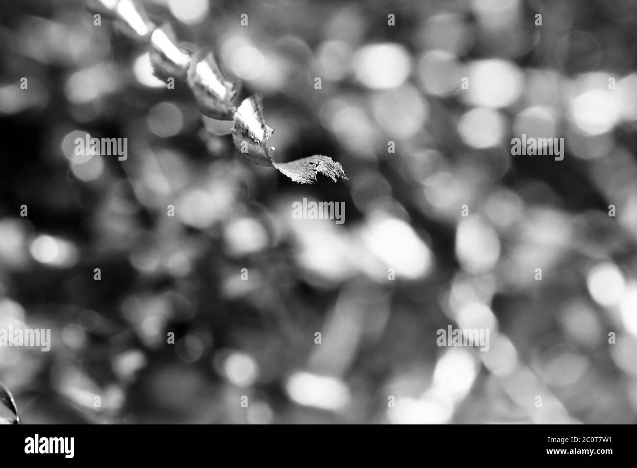 Close up photo of steel or metal shavings Stock Photo