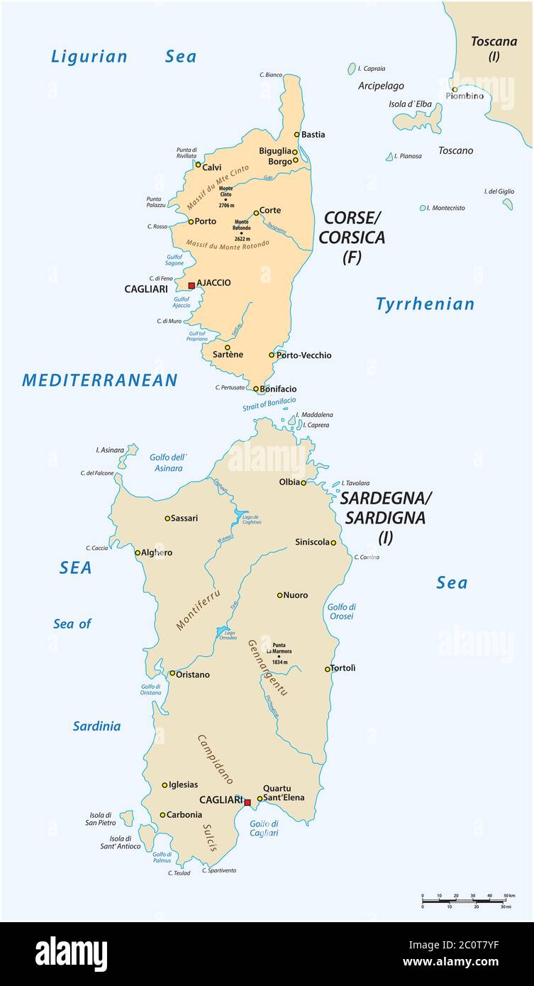 vector map of the two mediterranean sea islands of corsica and sardinia Stock Vector
