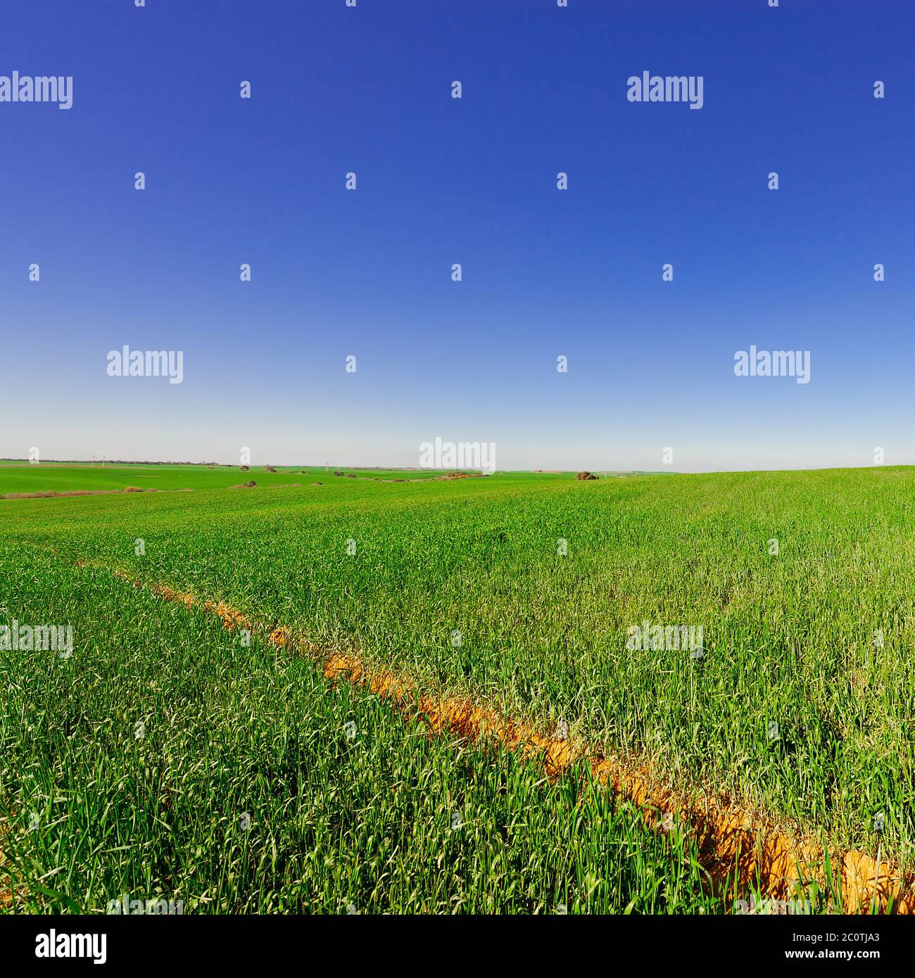 Field in Israel Stock Photo - Alamy
