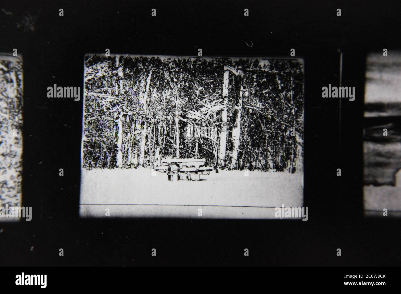 Fine 1970s vintage black and white photography of the beauty of nature ...