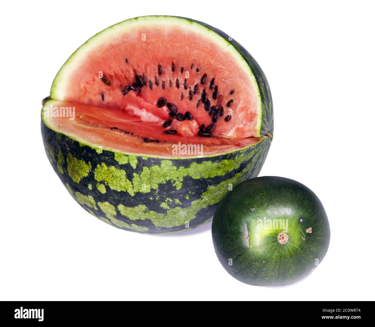 Two water-melons of various grades - big and dwarfish,small depth of sharpness, focus on a crust of Stock Photo