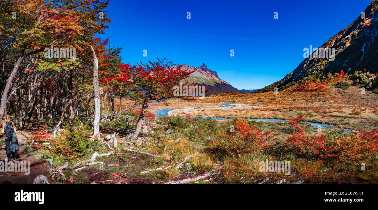 Panoramic view of magical colorful fairytale forest at Tierra del Fuego National Park with a lonely hiker, Patagonia, Argentina Stock Photo