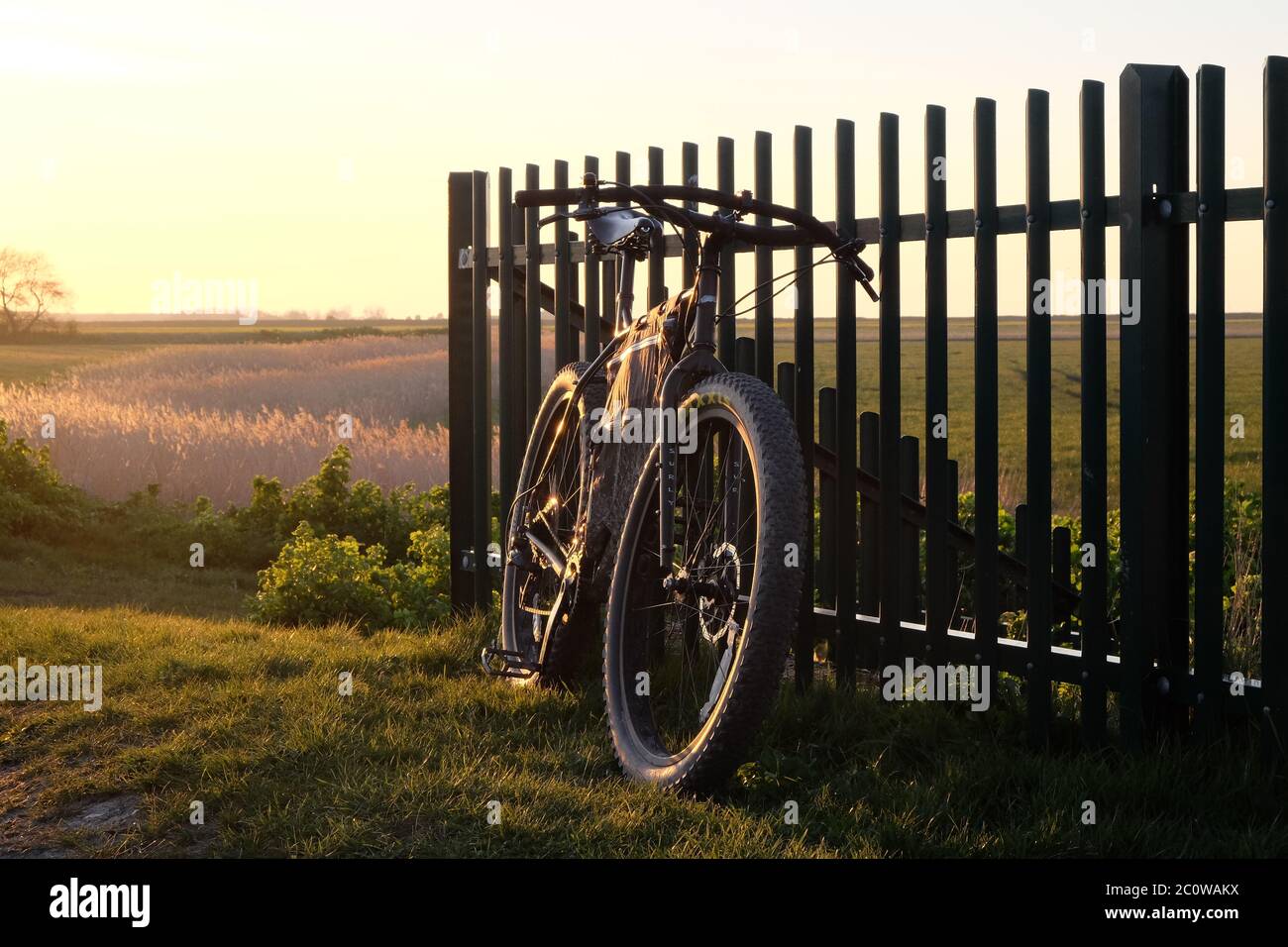 A fat bike at sunset in the countryside Stock Photo