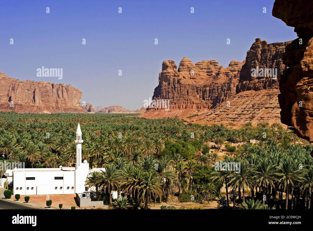 al ula oasis,saudi arabia Stock Photo