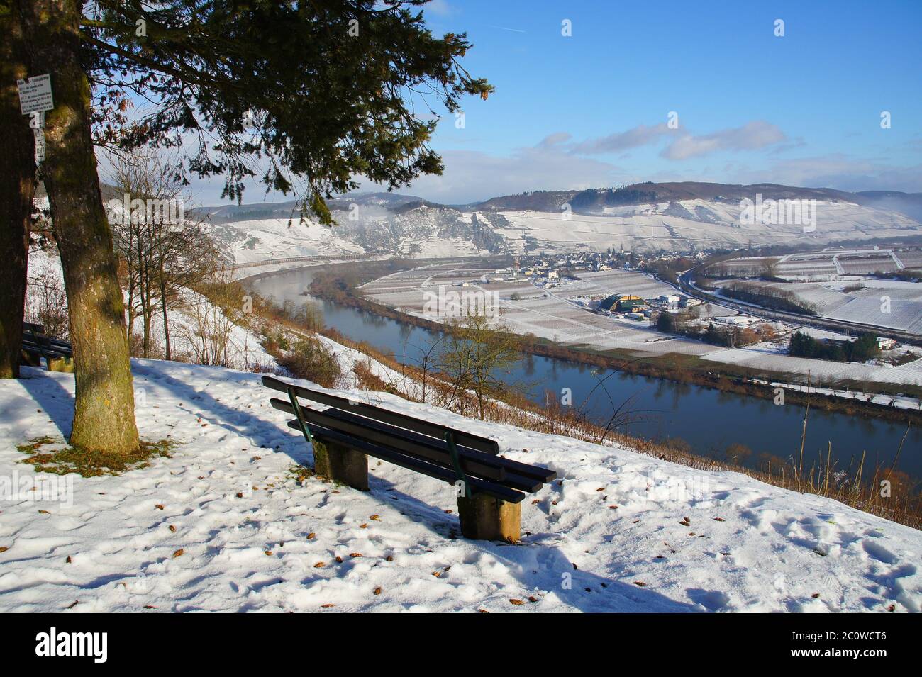 mosel winter landscape seat bench tree trees cold mosel frost sunshine winter Stock Photo