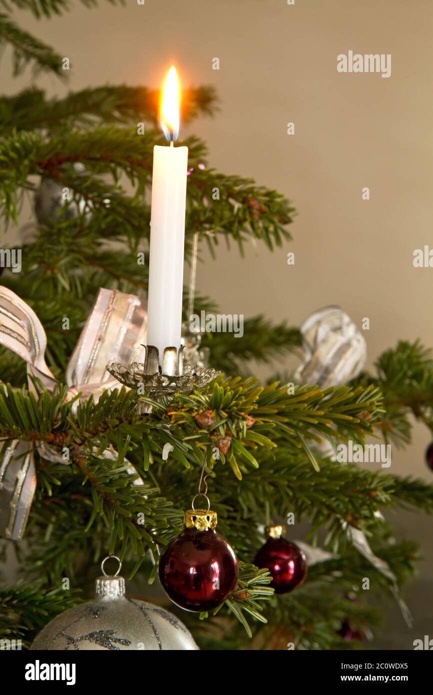 candle, fir tree, christmas tree, christmas tree decorations, longing, Stock Photo
