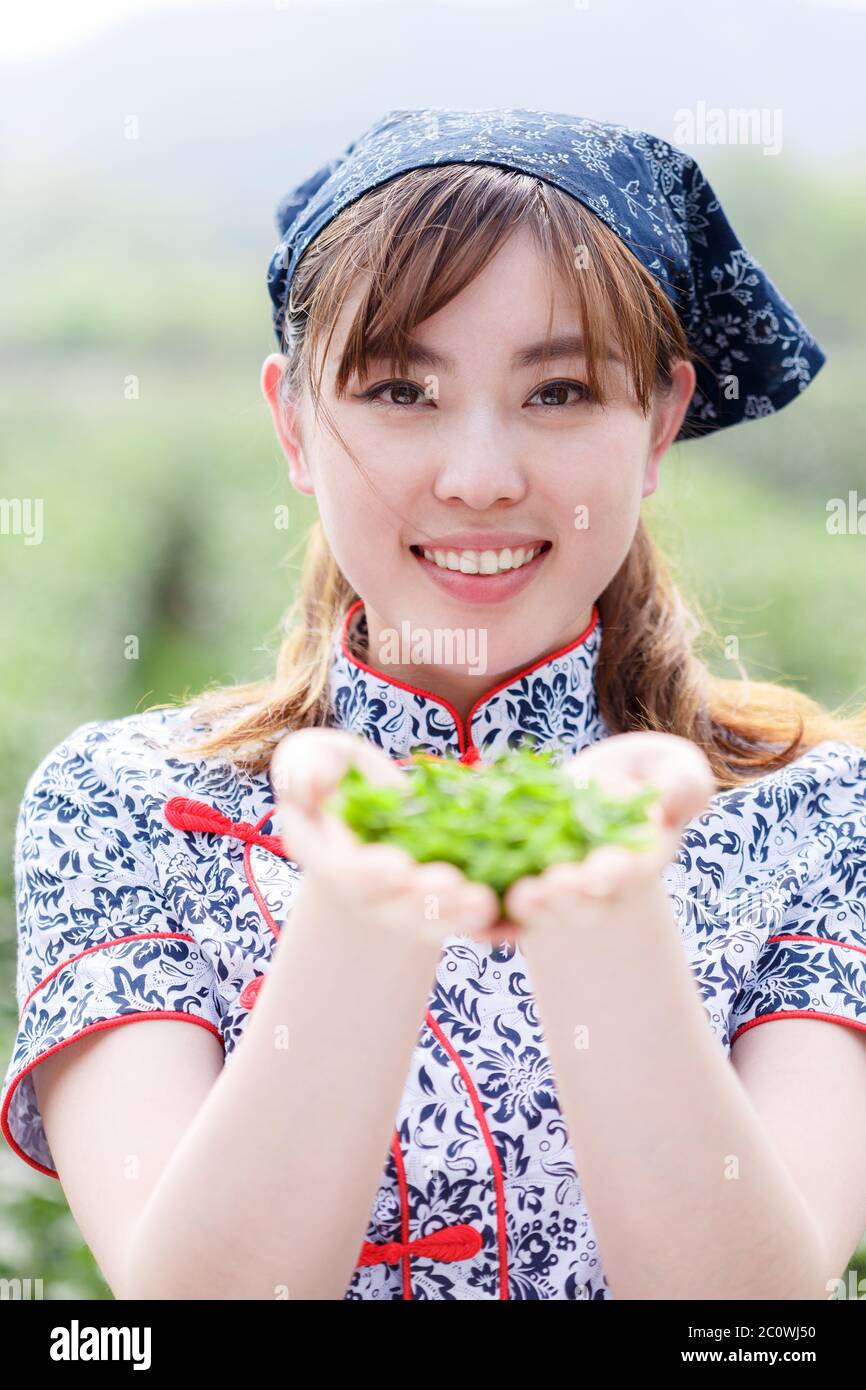 asian beautiful tea girl in plantation Stock Photo