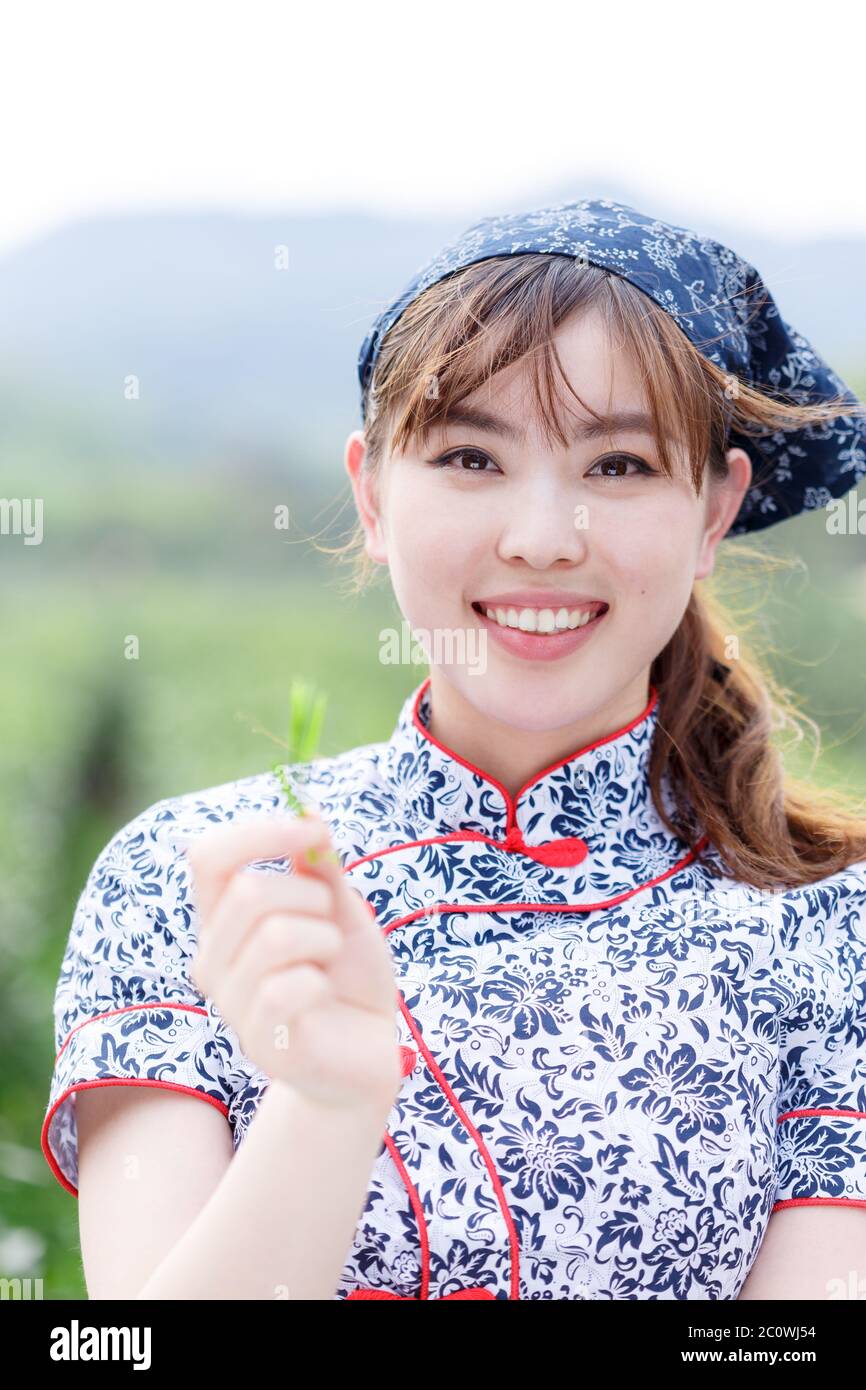 asian beautiful tea girl in plantation Stock Photo