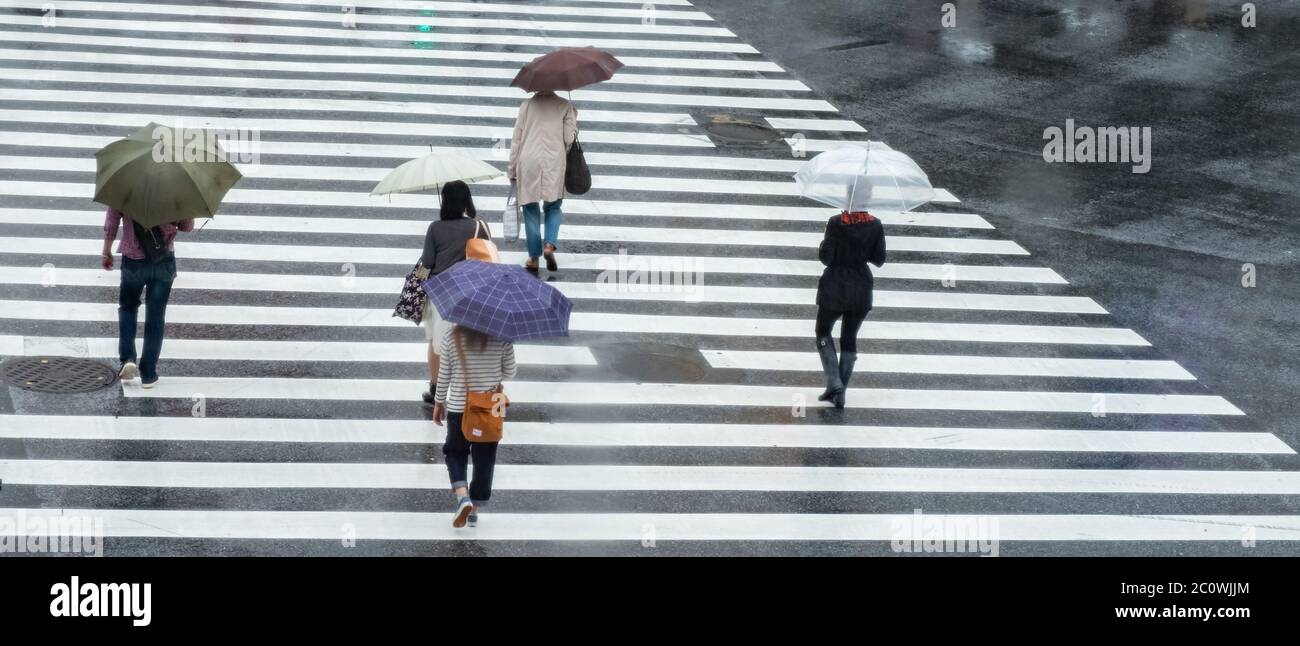Pedestrian crowd with umbrella walking at the famous Shibuya scramble ...