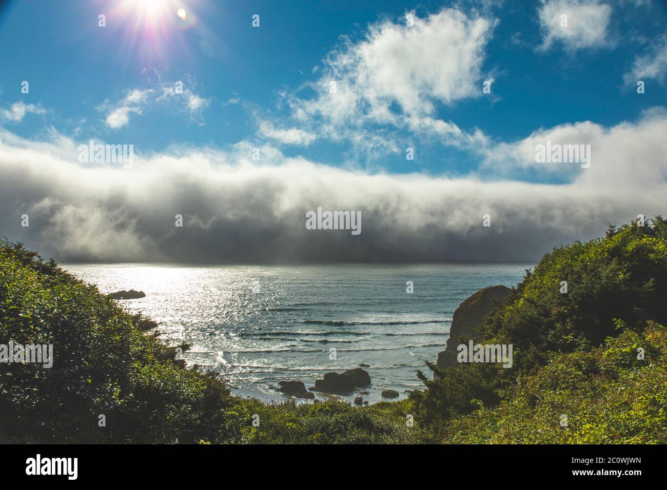Looking at a wall of fog over the ocean from the Cape Foulweather overlook along the Oregon coast Stock Photo
