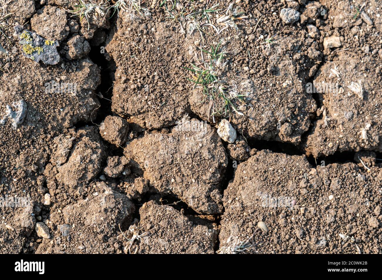 Land with dry and cracked ground. Desert, Global warming background ...