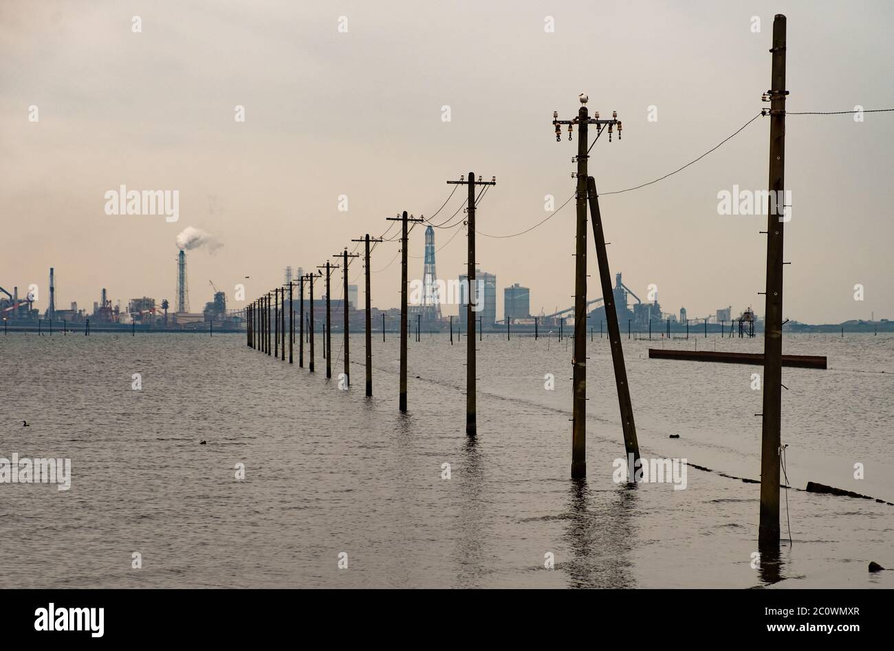 Electric poles in the sea of the Tokyo Bay coast, Japan. Stock Photo