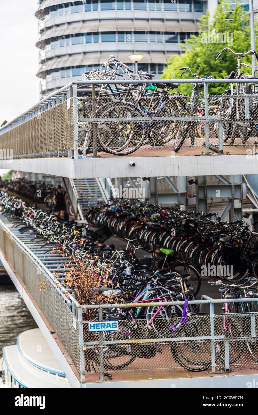 Parking for bikes in Amsterdam Stock Photo Alamy