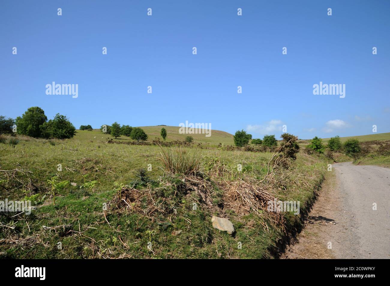 'The Roundabout', The Begwns. Stock Photo