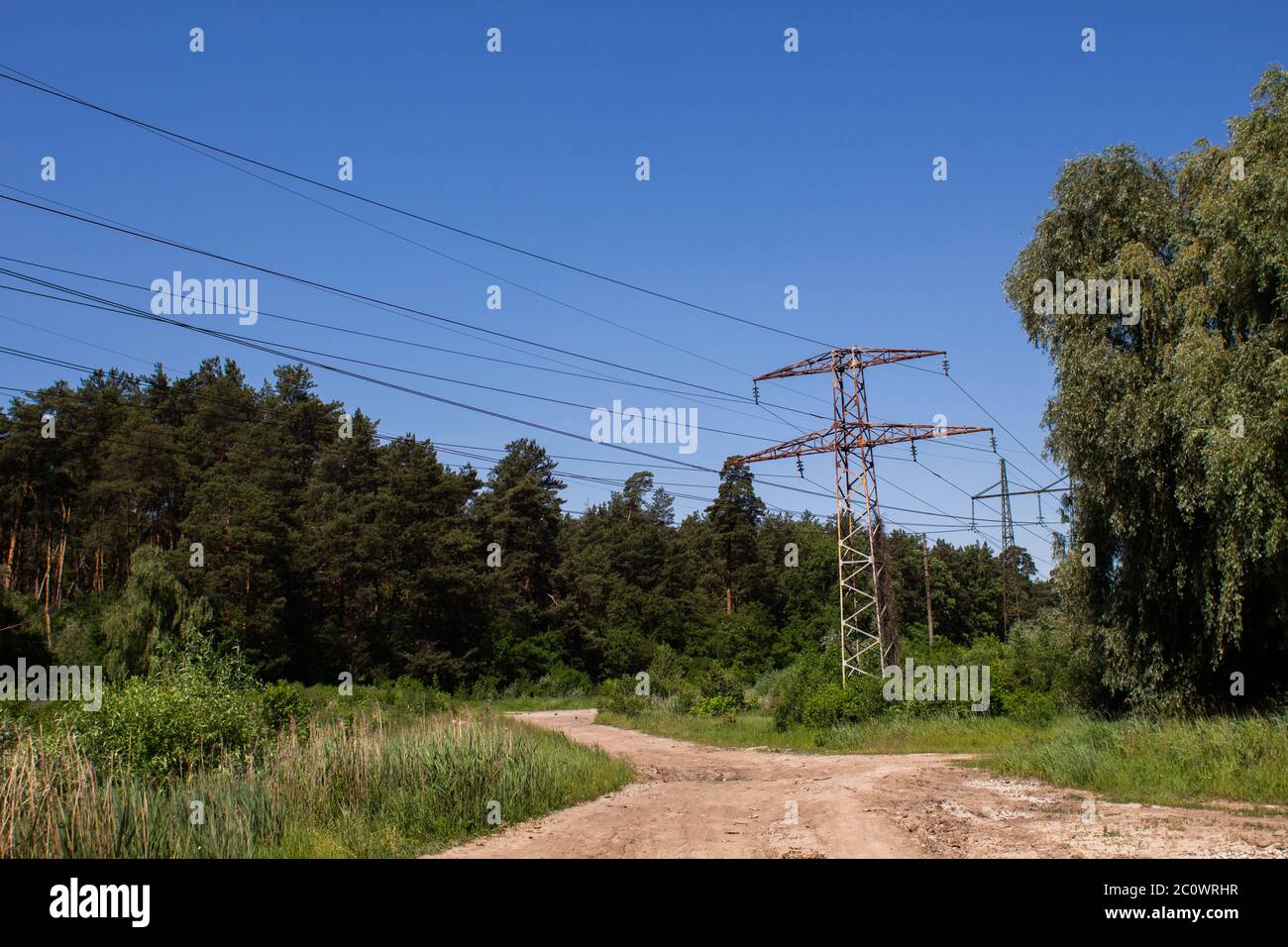 high voltage power lines in forest Stock Photo - Alamy
