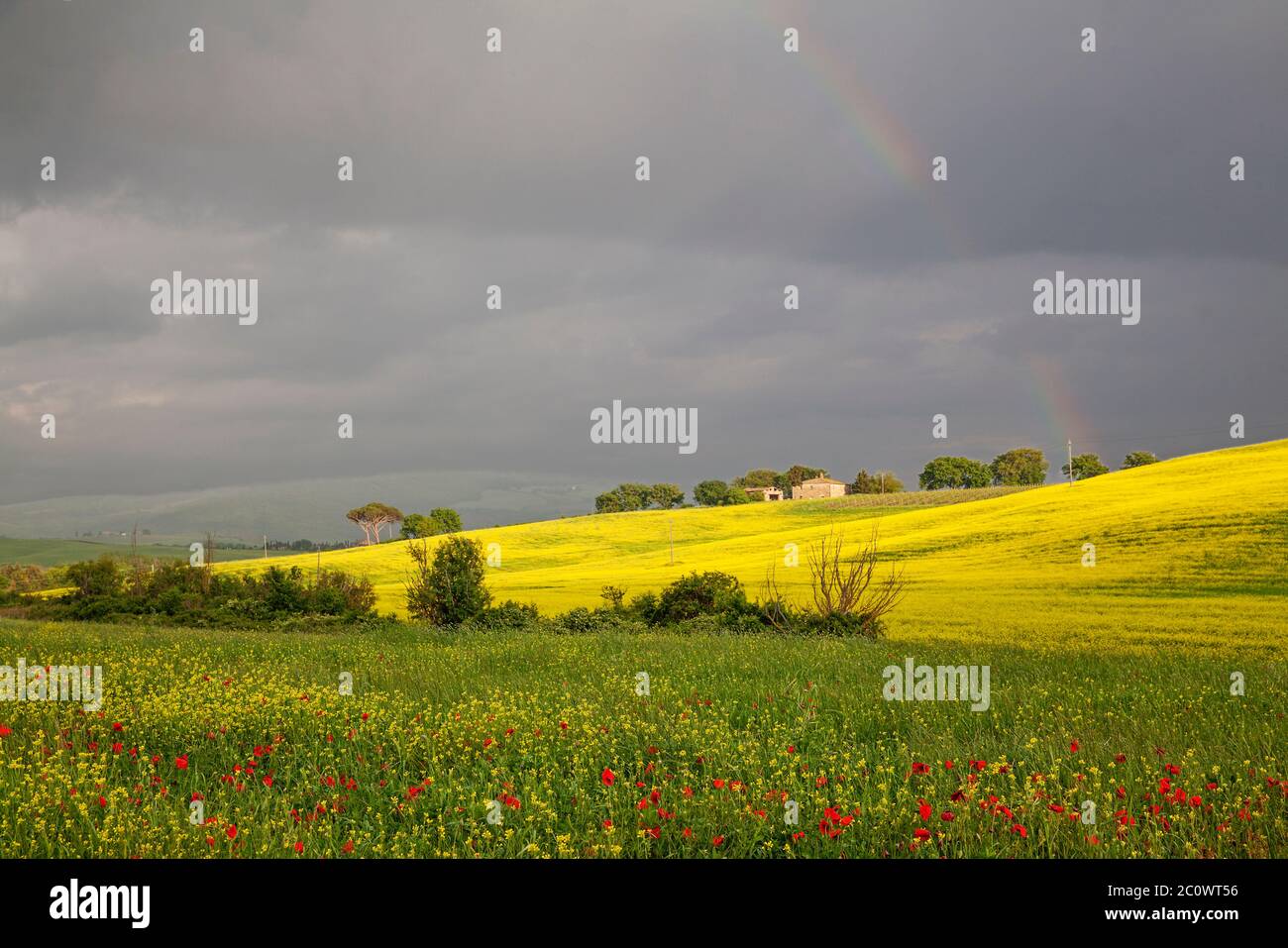 Stormy weather - Tuscany, Italy Stock Photo