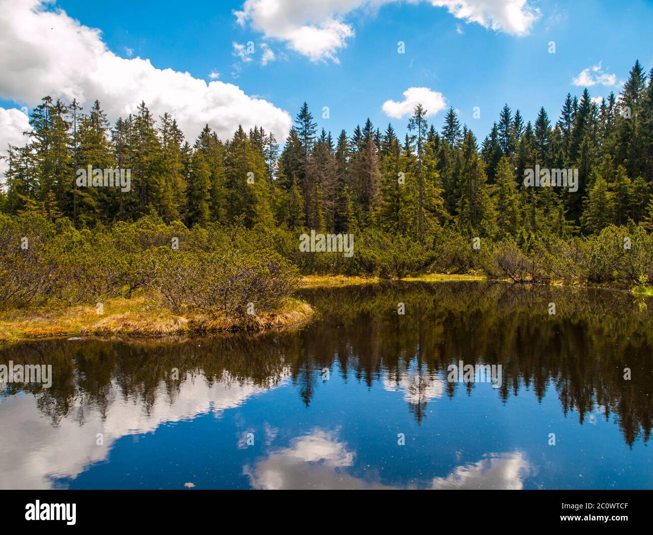 Forest and blue sky reflection in the water, Three Lake Moor, Sumava National Park, Czech Republic Stock Photo