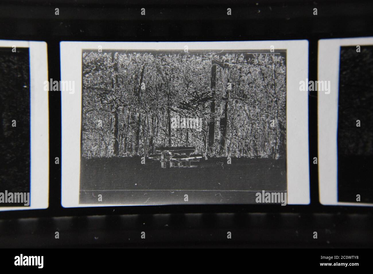 Fine 1970s vintage black and white photography of the beauty of nature ...