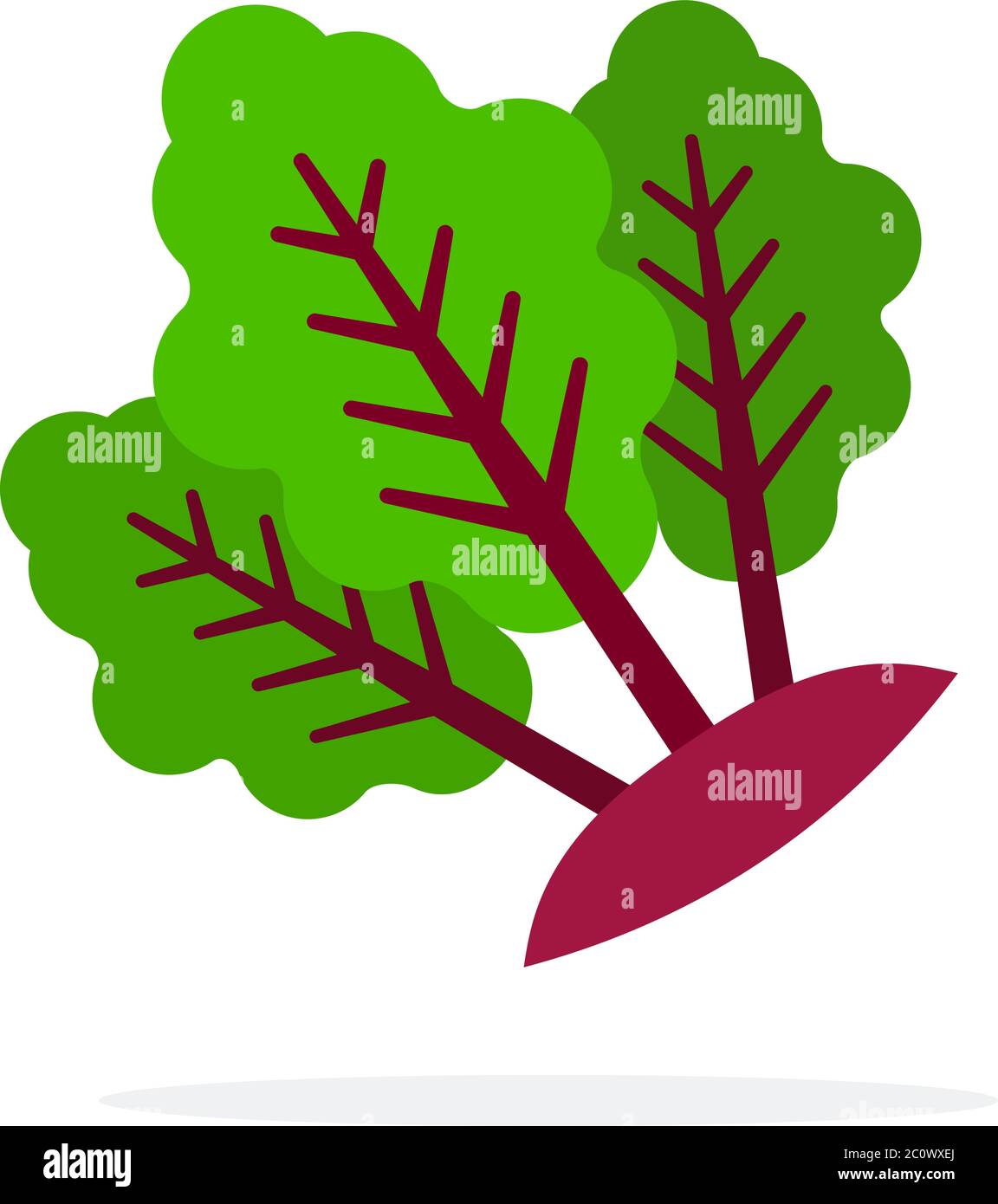 Beetroot stems with leaves flat isolated Stock Vector