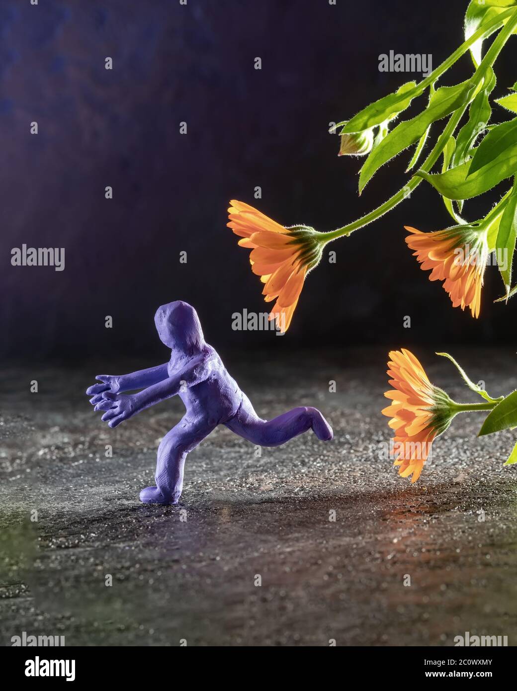 Play-doh character running away from calendula flowers reaching out for him Stock Photo