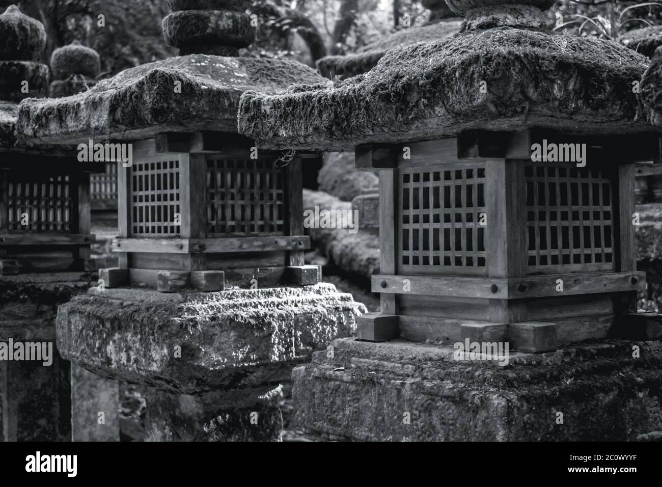Wooden lanterns on stone pillars covered by moss in Nara Japan Stock Photo