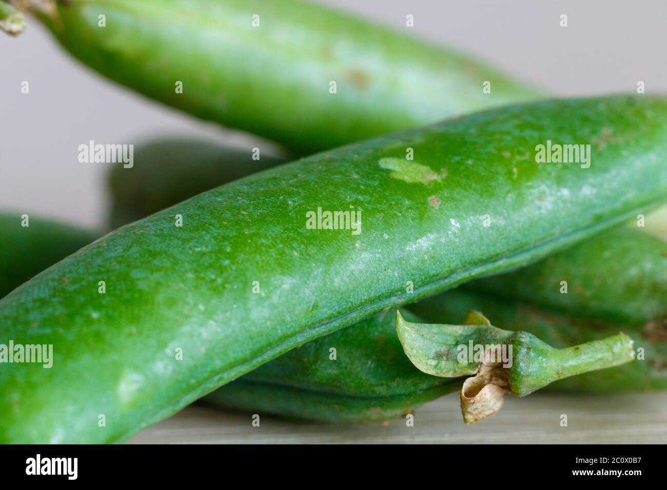 Fresh Pea Close Up. Image Useful For Articles About Agriculture, Food and Healthy Food. Stock Photo