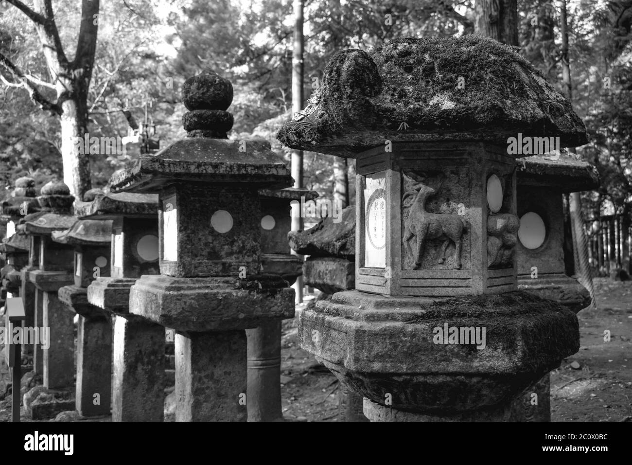 Black and white stone lanterns in the Kasuga shrine in Nara Japan Stock Photo