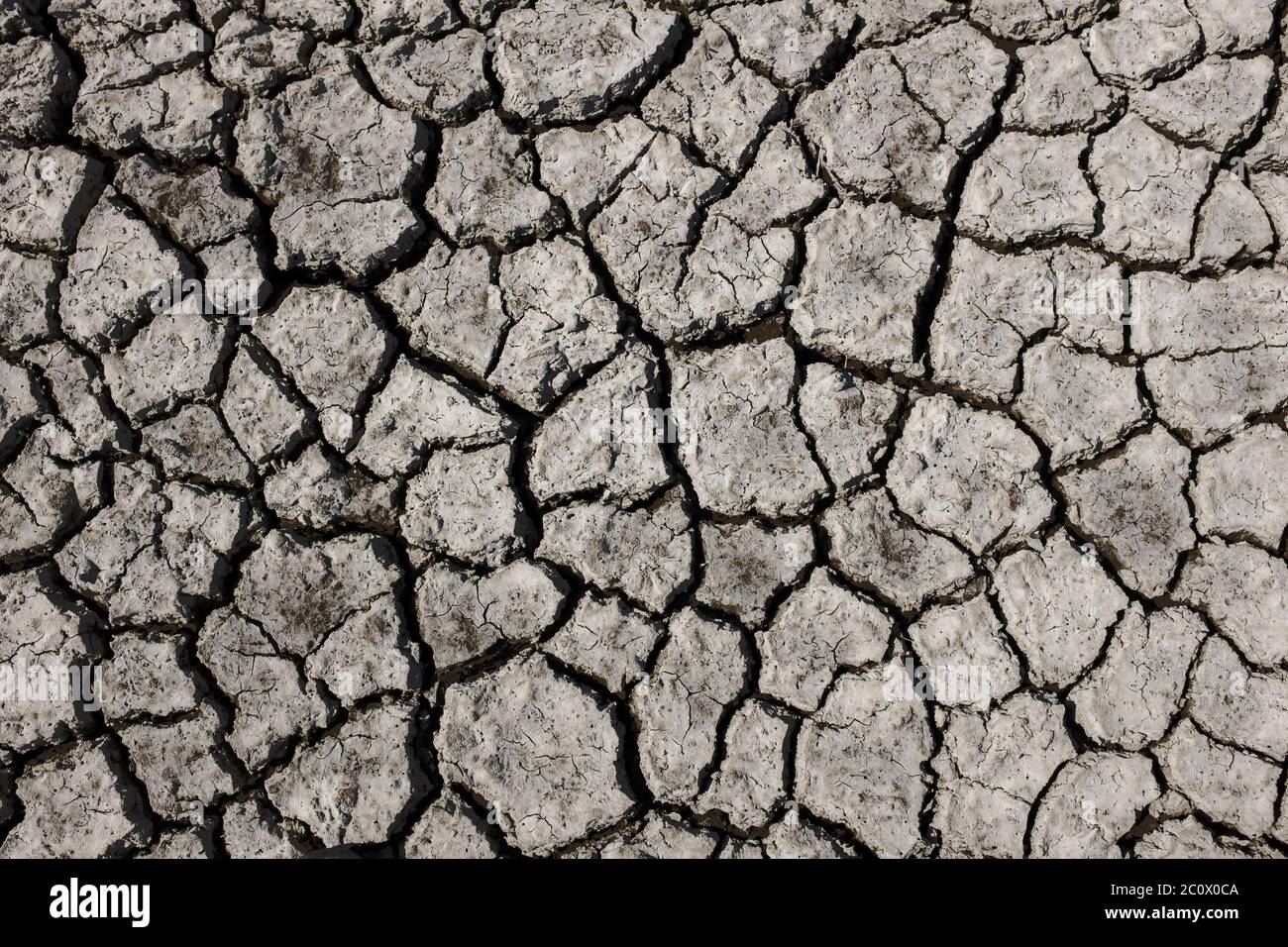 Dry cracked earth background. Top view. Pattern. Stock Photo
