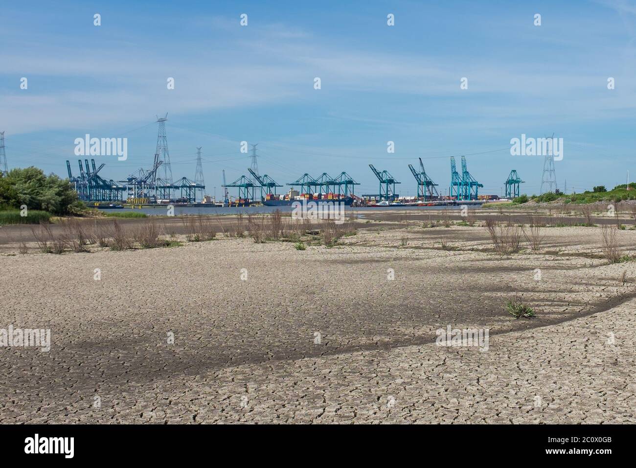 Dry mud in nature reserve potpolder (South of village Lillo) with Port of Antwerp cranes in the background. Stock Photo