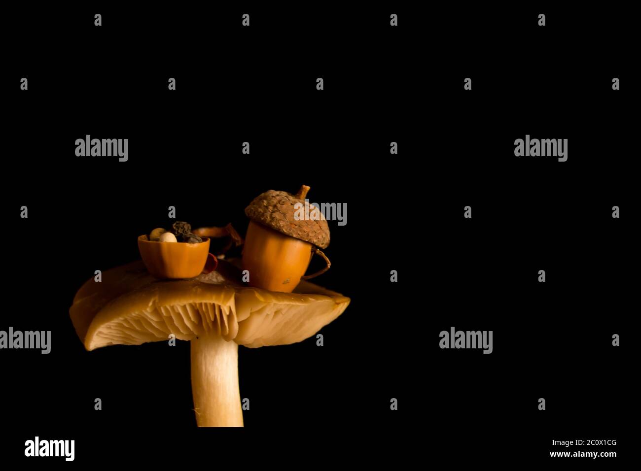 Small mushroom fairy tea-time table on black backgroung Stock Photo