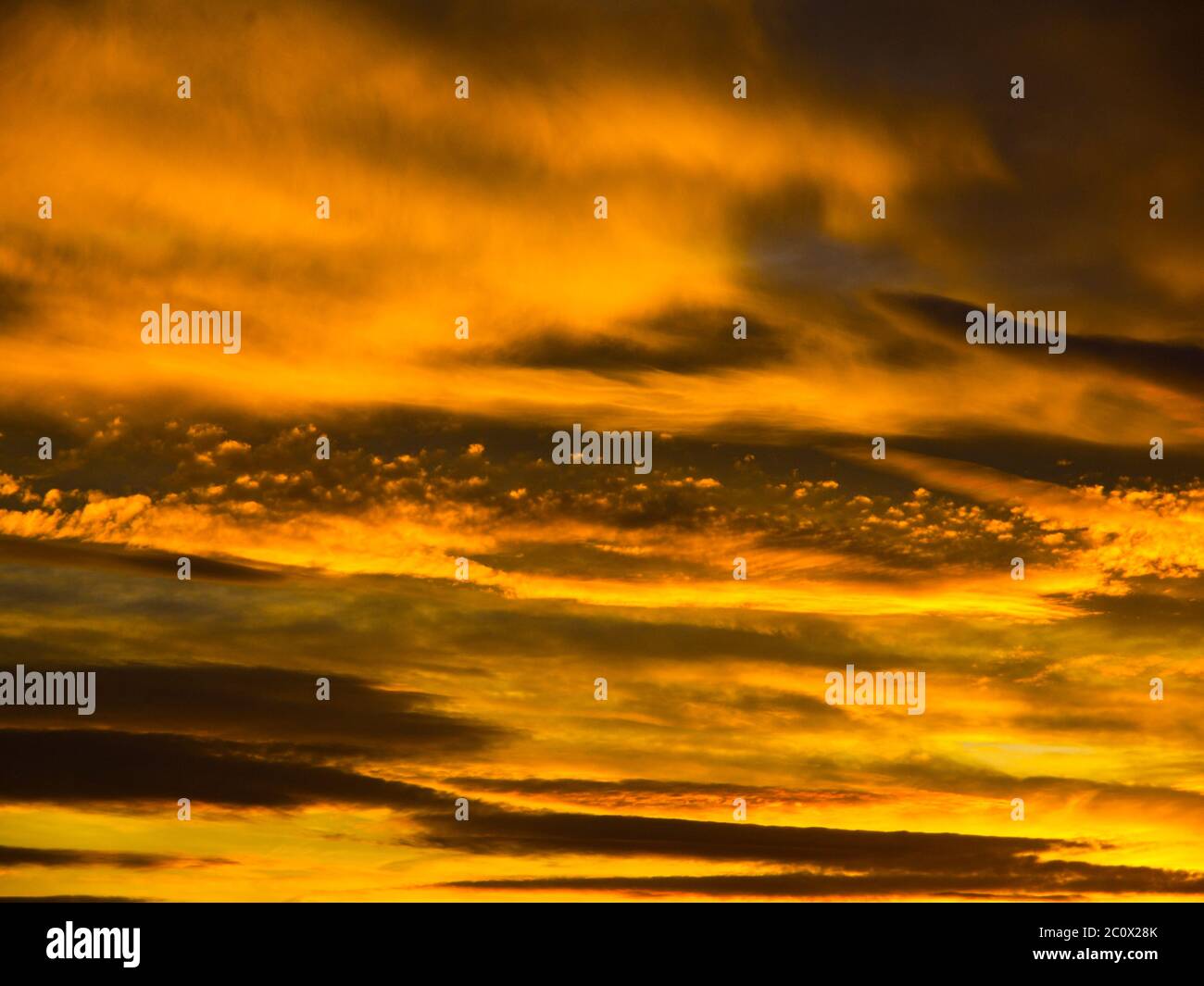 Dramatic golden sky with illuminated clouds at evening sunset time ...