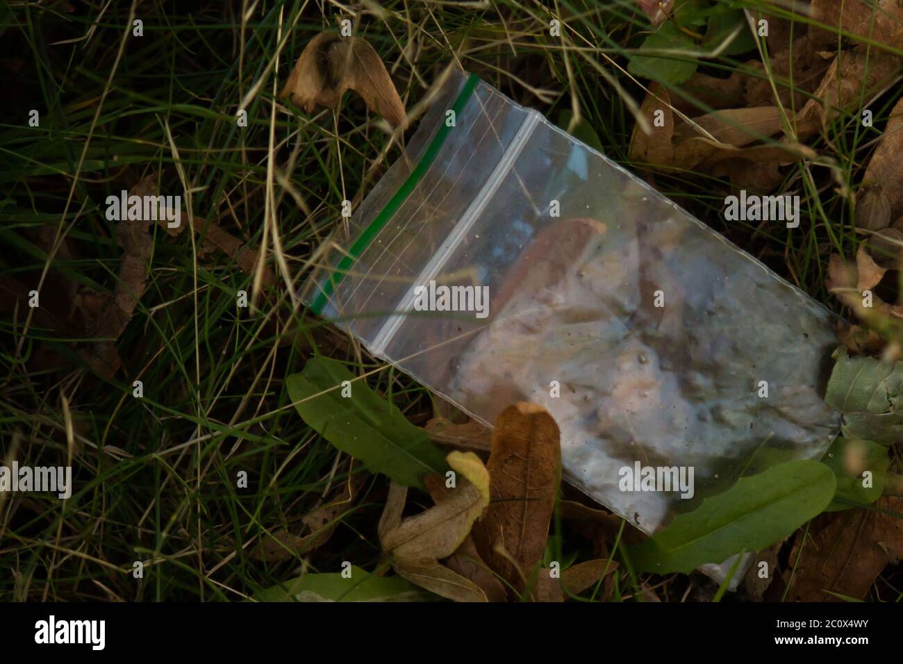 Empty plastic cannabis bag littering the ground Stock Photo