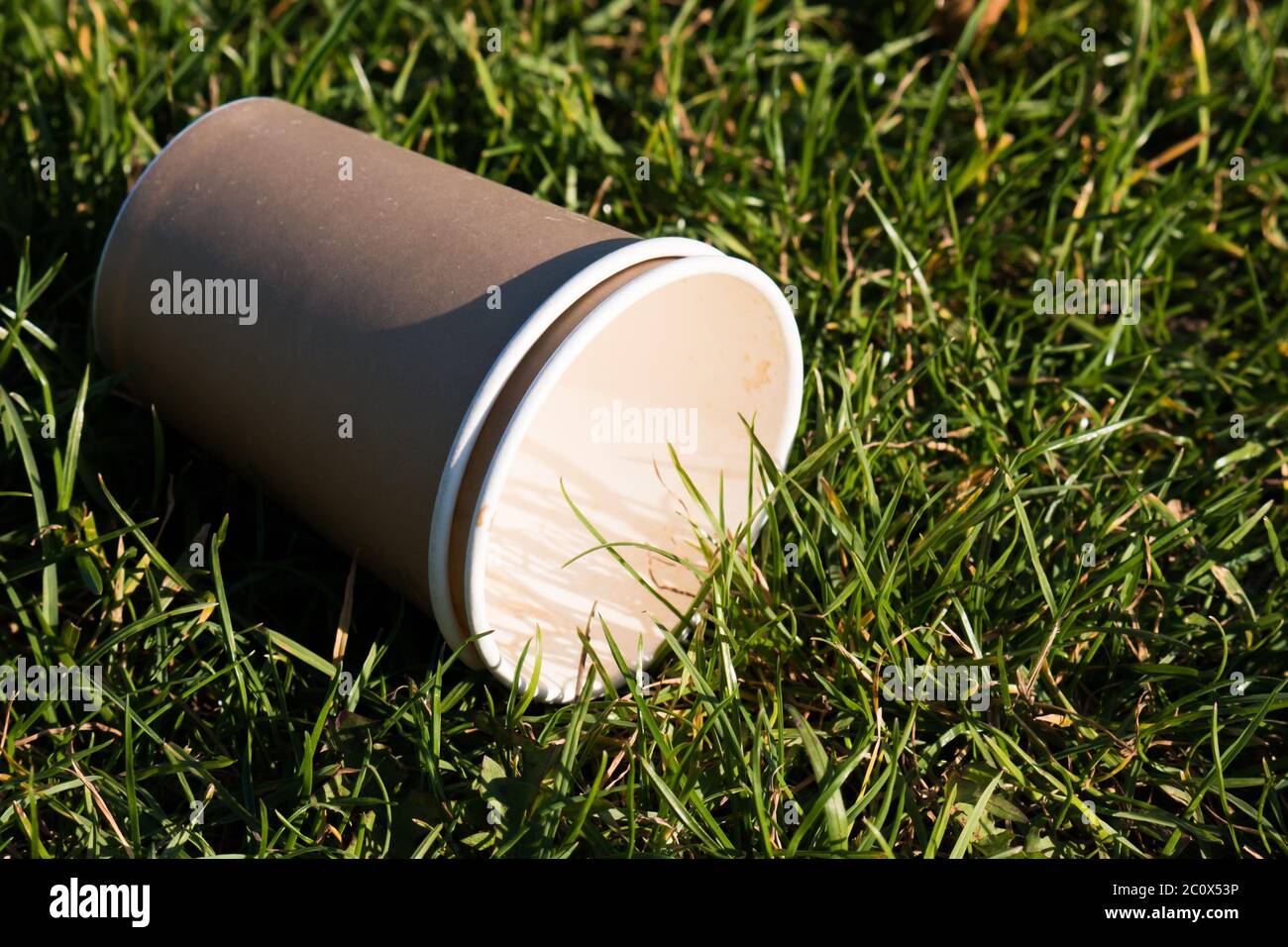 Two nested empty cardboard cups in the grass in evening light Stock Photo